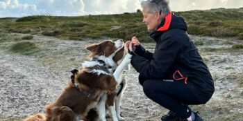 Sådan opnår du succes med hundetræning og styrker båndet til din hund