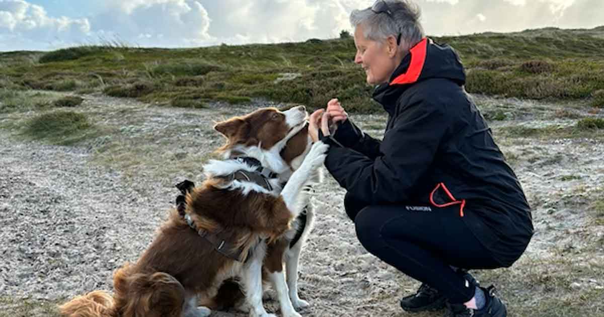 Hundetræning ved stranden.